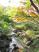 小川