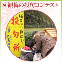 観梅の投句コンテスト