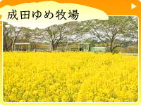 成田ゆめ牧場