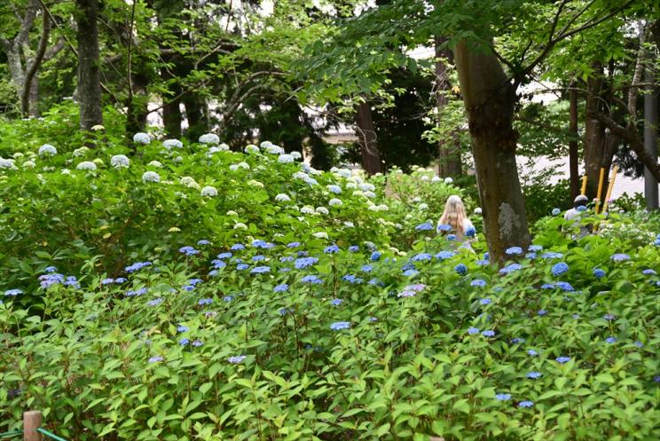 0609_13.jpg