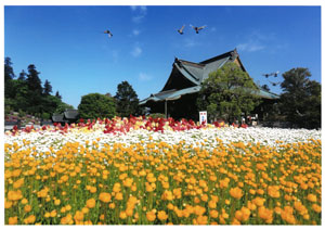 2025photocon_springichiji19.jpg